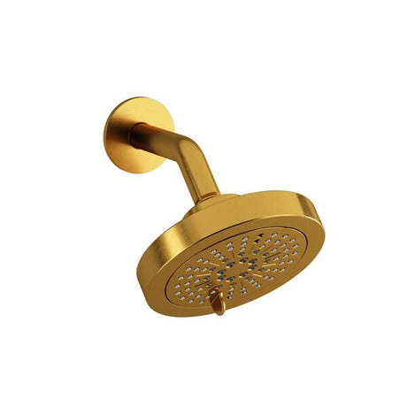 6" 6-Function Showerhead With Arm Brushed Gold