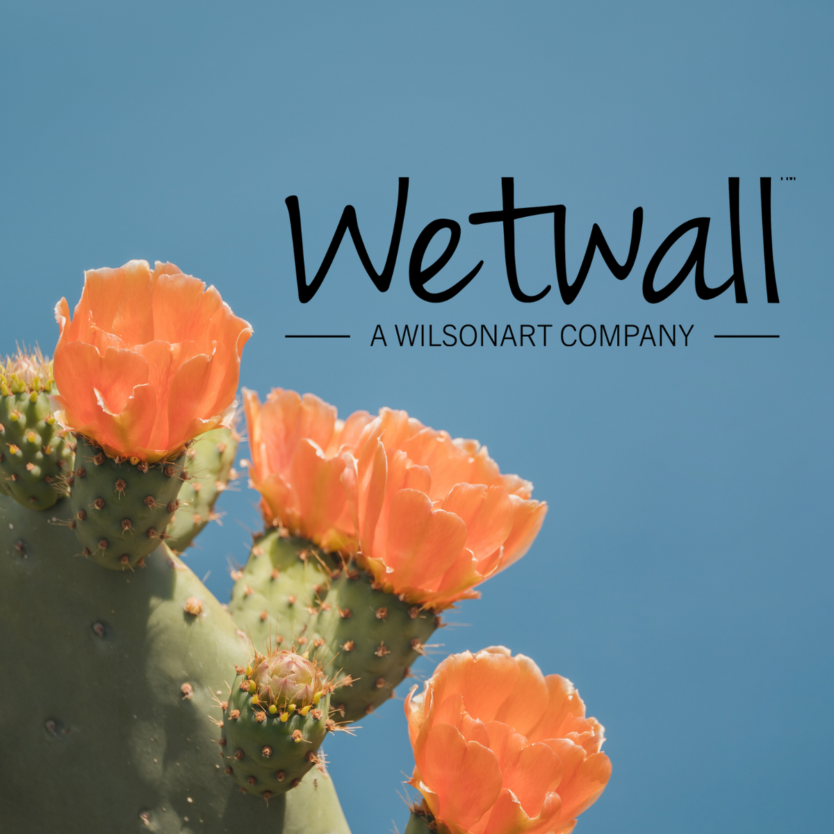 5 Reasons to use Wilsonart's Wetwall instead of traditional tiling