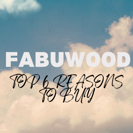 Top 6 Reasons to buy Fabuwood for your kitchen remodel PoshHaus
