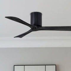 Black Fans