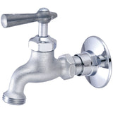 Central Brass 0006-H1/2H Single Handle Wallmount Faucet in Rough Chrome