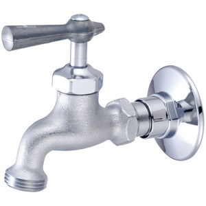 Central Brass 0006-H1/2H Single Handle Wallmount Faucet in Rough Chrome