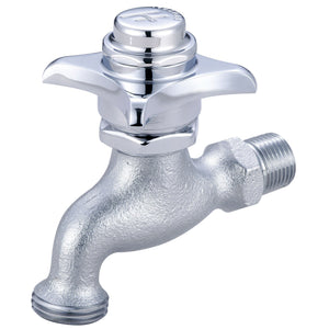 Central Brass 0031-H1/2H Self-Close Wallmount Faucet in Rough Chrome