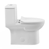 Daxton One-Piece Elongated Dual-Flush Toilet 1.1/1.6 gpf