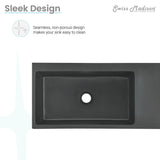 Delice 24" Rectangle Wall-Mount Bathroom Sink in Matte Black