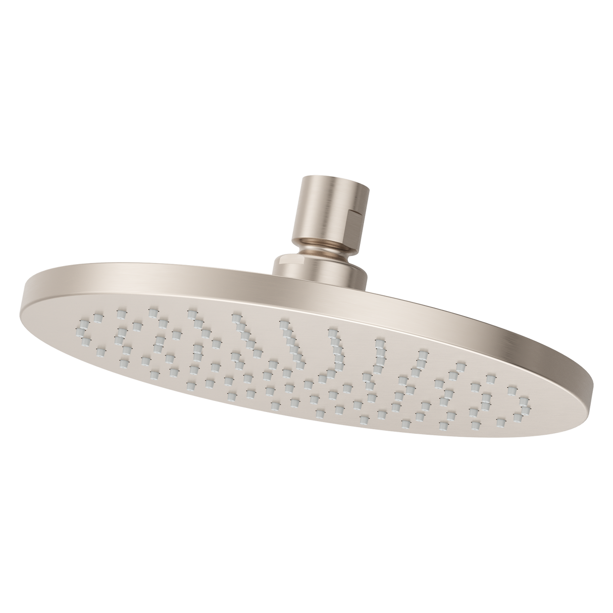 Modern Round 8 in. Raincan Showerhead in Brushed Nickel