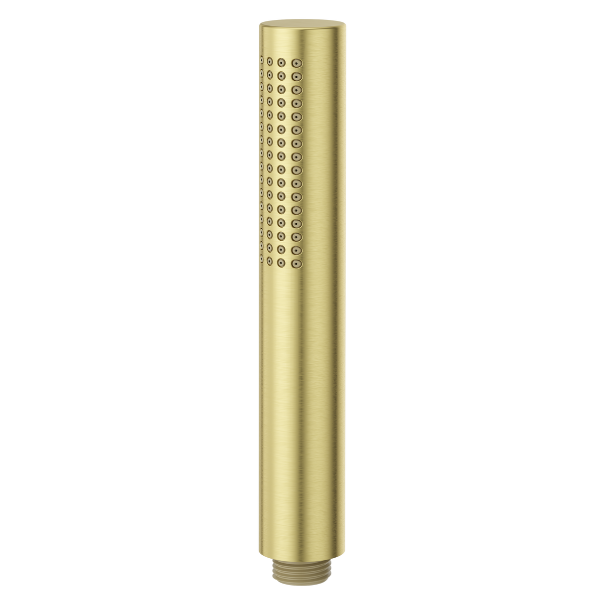 Modern Round Single Function Hand Shower Wand in Brushed Gold