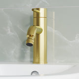 Ivy Bidet Faucet in Brushed Gold