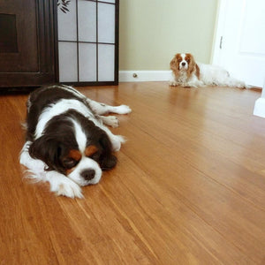 CALI Mocha Wide Click Bamboo 9/16" (Covers 21.5 SQFT) 7014006500