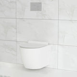 St. Tropez Wall Hung Toilet Bundle (SM-WT449, SM-WC424, SM-WC001C)