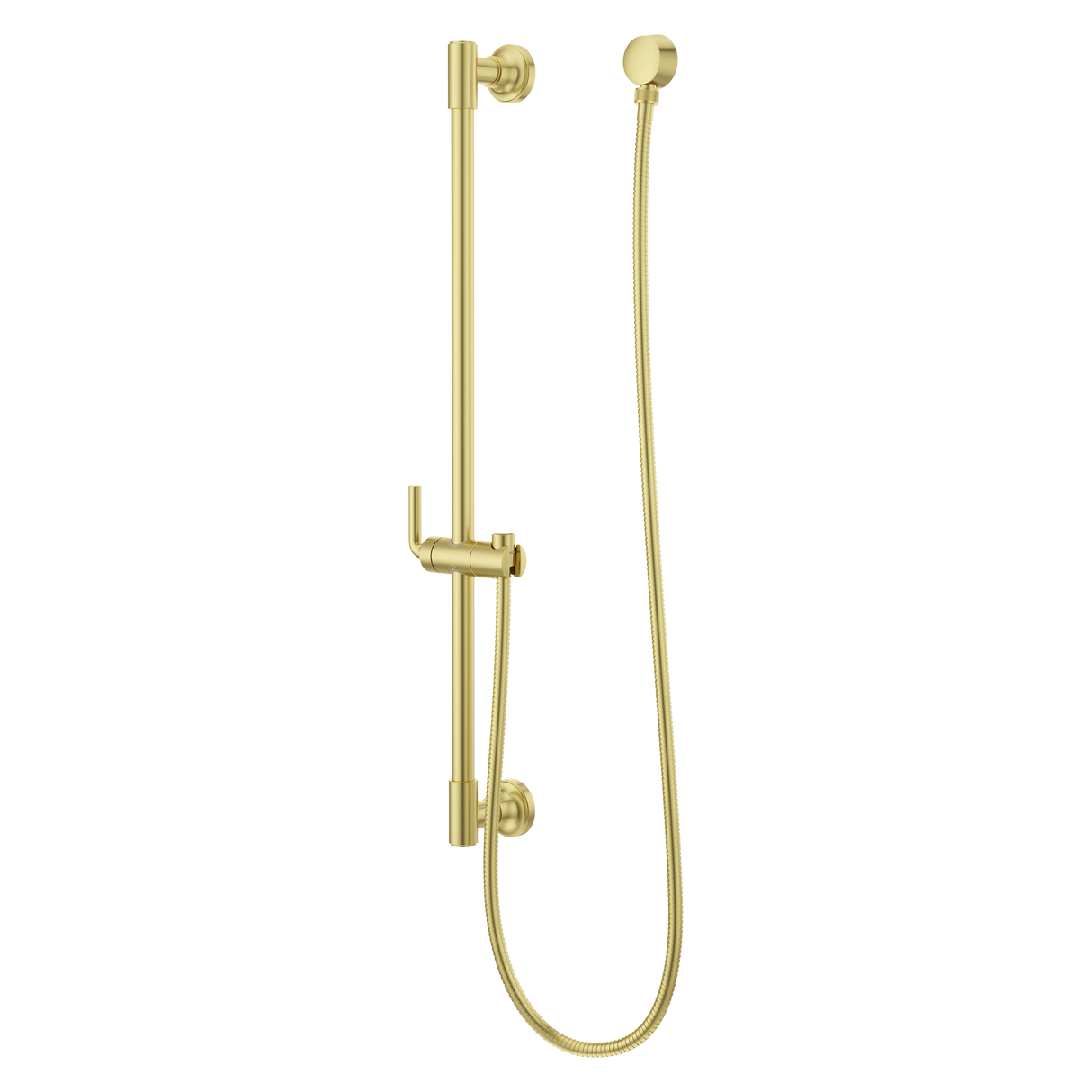 Modern Round 30 in. Slide Bar with 60 in. Hose in Brushed Gold
