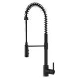 Brislin 1-Handle Pull-Down Kitchen Faucet in Matte Black