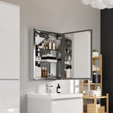 Eviva Lazy  Glass Medicine Cabinet