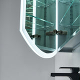 Blossom Castor 24″ LED Medicine Cabinet – Modern Innovation & Sleek Design