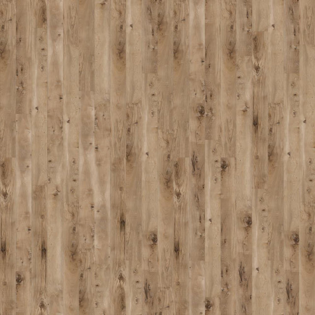 CALI Seaboard Oak Longboards Extra Wide Click (Covers 26.62 SQFT) 7902500900