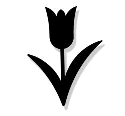 Tulip Magnet