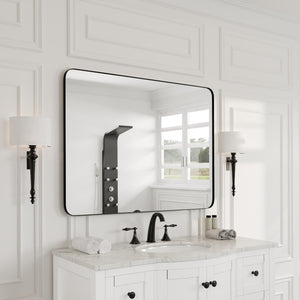 Eviva Harmony 36" x 48" Rectangular Black Metal Framed Mirror