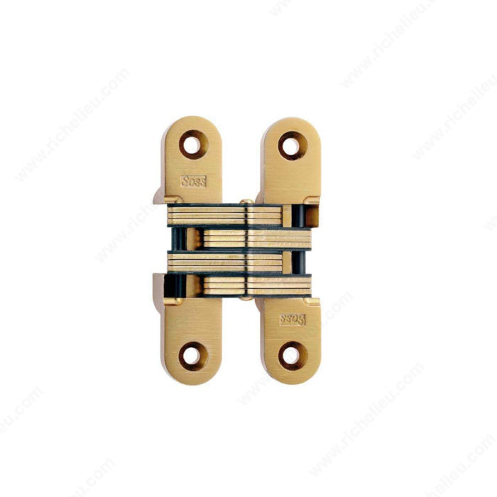 Richelieu 429216160 SOSS Concealed Steel Hinge - For Hinge #216, Black / Satin Brass