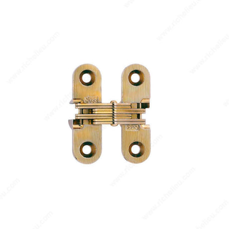 Soss 420203160 SOSS Concealed Steel Hinge - Model #203, Black / Satin Brass