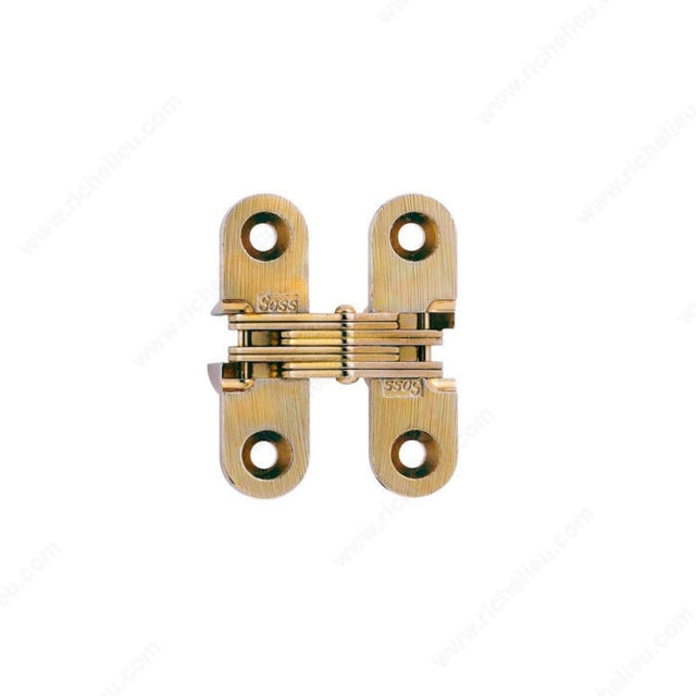 Soss 420203160 SOSS Concealed Steel Hinge - Model #203, Black / Satin Brass