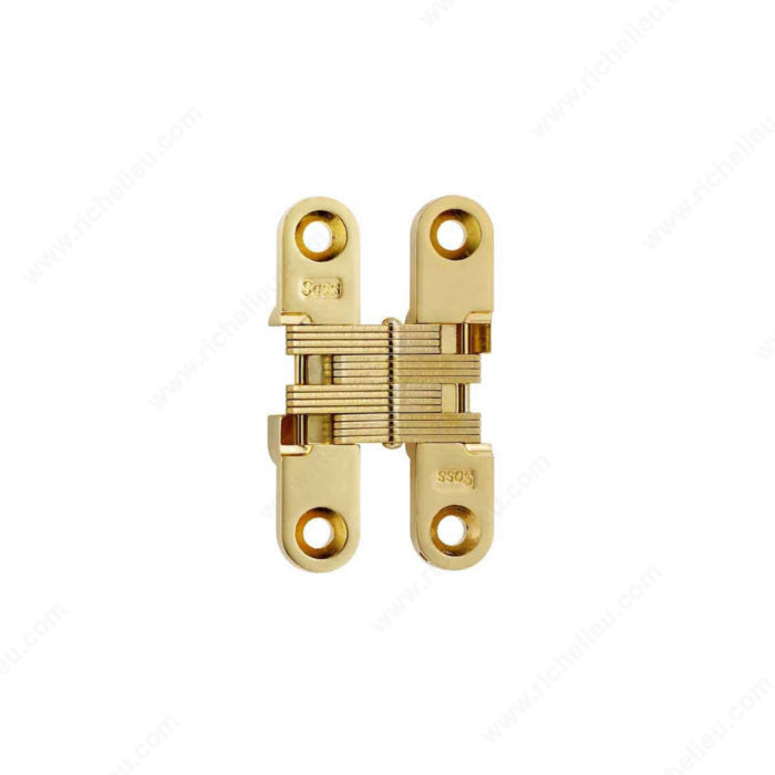 Soss 420204130 SOSS Concealed Steel Hinge - Model #204, Black / Brass