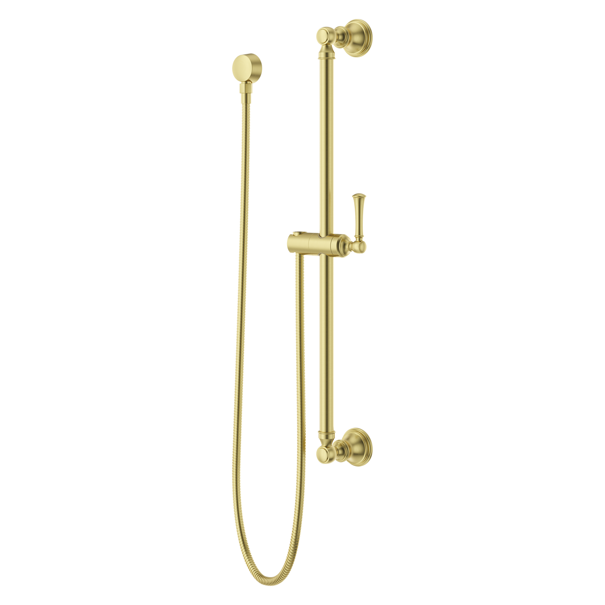 Transitional Round 30 in. Slide Bar with 60 in. Hose in Brushed Gold