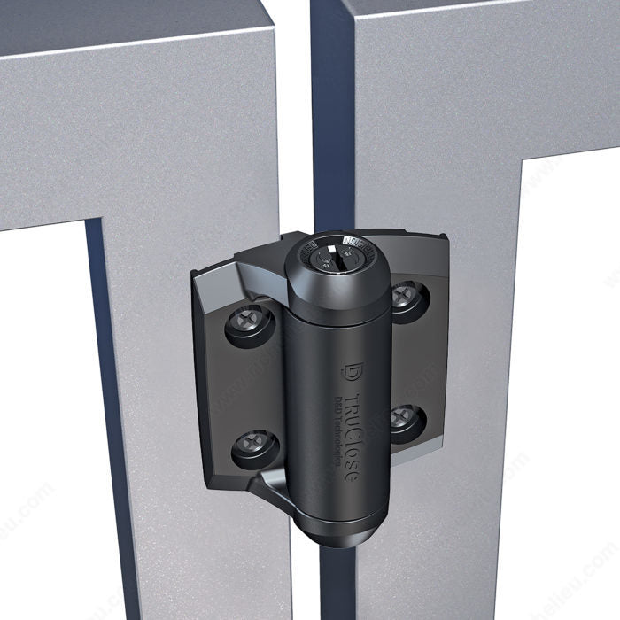 D & D Technologies TCA1S3RC Self-Closing Gate Hinge for Metal Gate