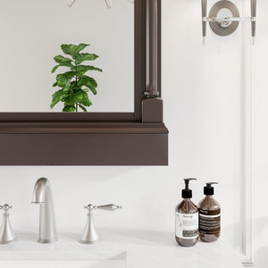 Eviva Preston 36" x 29" Rectangular Aged Chocolate Solid Wood Framed Mirror