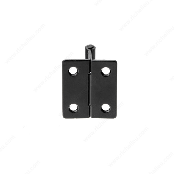 Richelieu 120213290 Traditional Metal Hinge - 02021