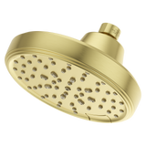 Transitional Round Universal Showerhead in Brushed Gold