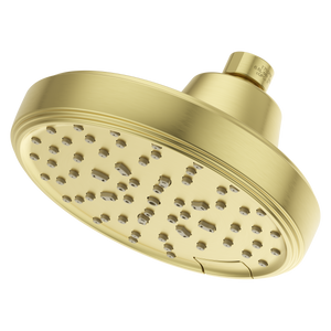 Transitional Round Universal Showerhead in Brushed Gold