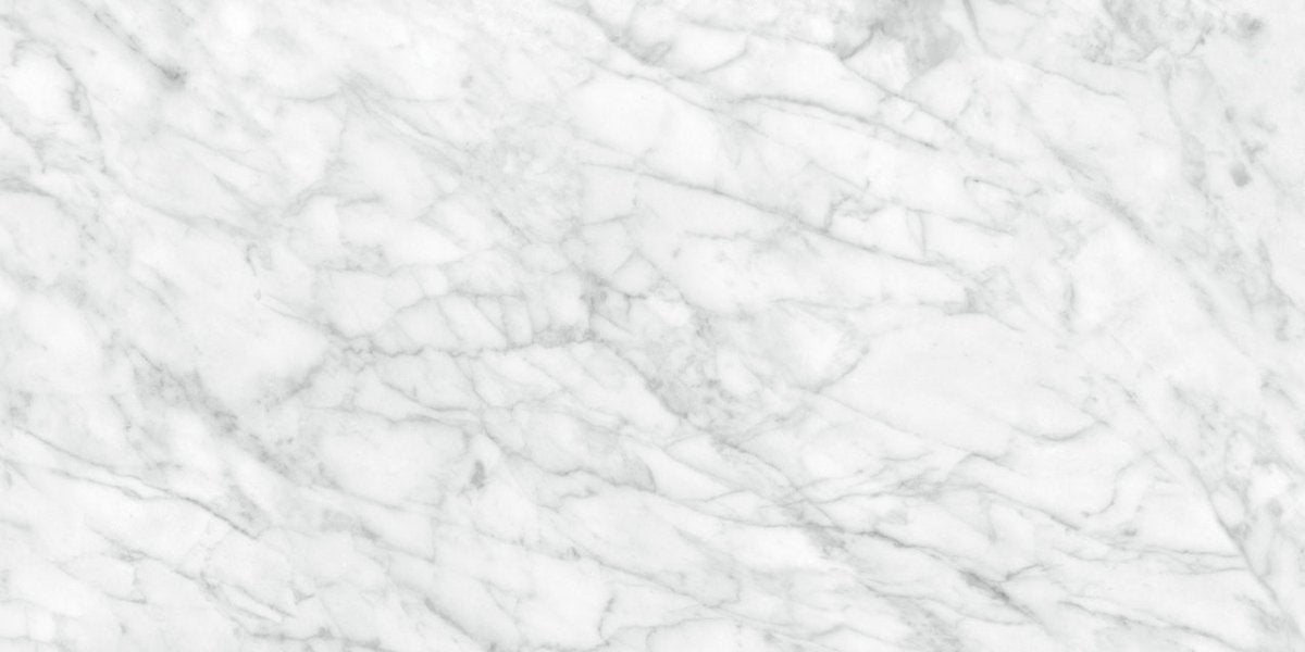 Anatolia Tile 24X48 Plata Carrara P Polished 4500-0959-0 Carrara Abisso 24x48 Polished - premium natural stone mosaic tile from Anatolia Tile, available at PoshHaus showroom in Keene, NH
