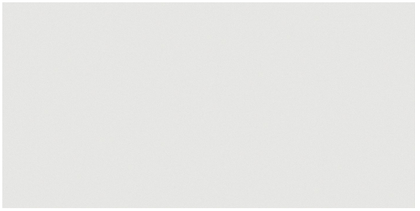 Anatolia Tile 24X48 Prima True White Polished Rectified Porcelain 4500-0948-1 ** ** True White 24x48 Polished - premium natural stone mosaic tile from Anatolia Tile, available at PoshHaus showroom in Keene, NH