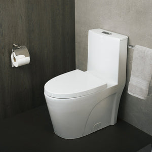 DAX Ceramic Siphonic Toilet One Piece, White BSN-CL12011