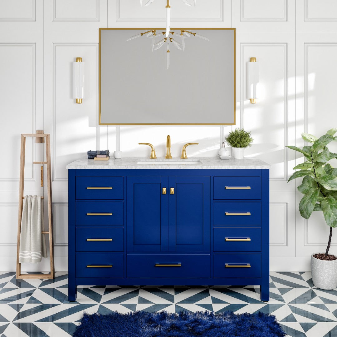 Eviva Aberdeen 48 Inch Blue Transitional Single Sink Bathroom Vanity