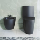 St. Tropez Wall Hung Bidet in Matte Black