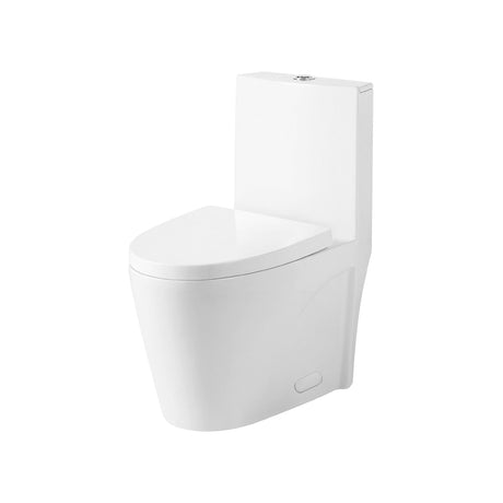 DAX Ceramic Siphonic Toilet One Piece, White BSN-CL12011