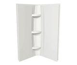 MAAX 105067-000-001-000 42 x 72 in. Acrylic Direct-to-Stud Two-Piece Shower Wall Kit in White