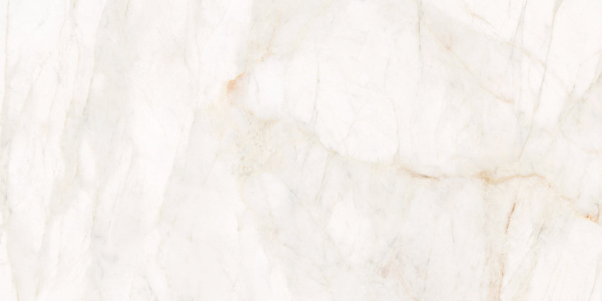 Roca Tile Usa Inc Elegant Ideas 24X48 Marble Dolomita Rectified Porcelain Tile - F7I7A54011