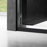 Essence 60'' * 76'' Framed Shower Door (Matte Black)