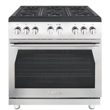 Forza 3-Piece Appliance Package - 36-Inch Gas Range, 18-Inch Pro-Style Under Cabinet Range Hood, & 24-Inch Dishwasher in Stainless Steel