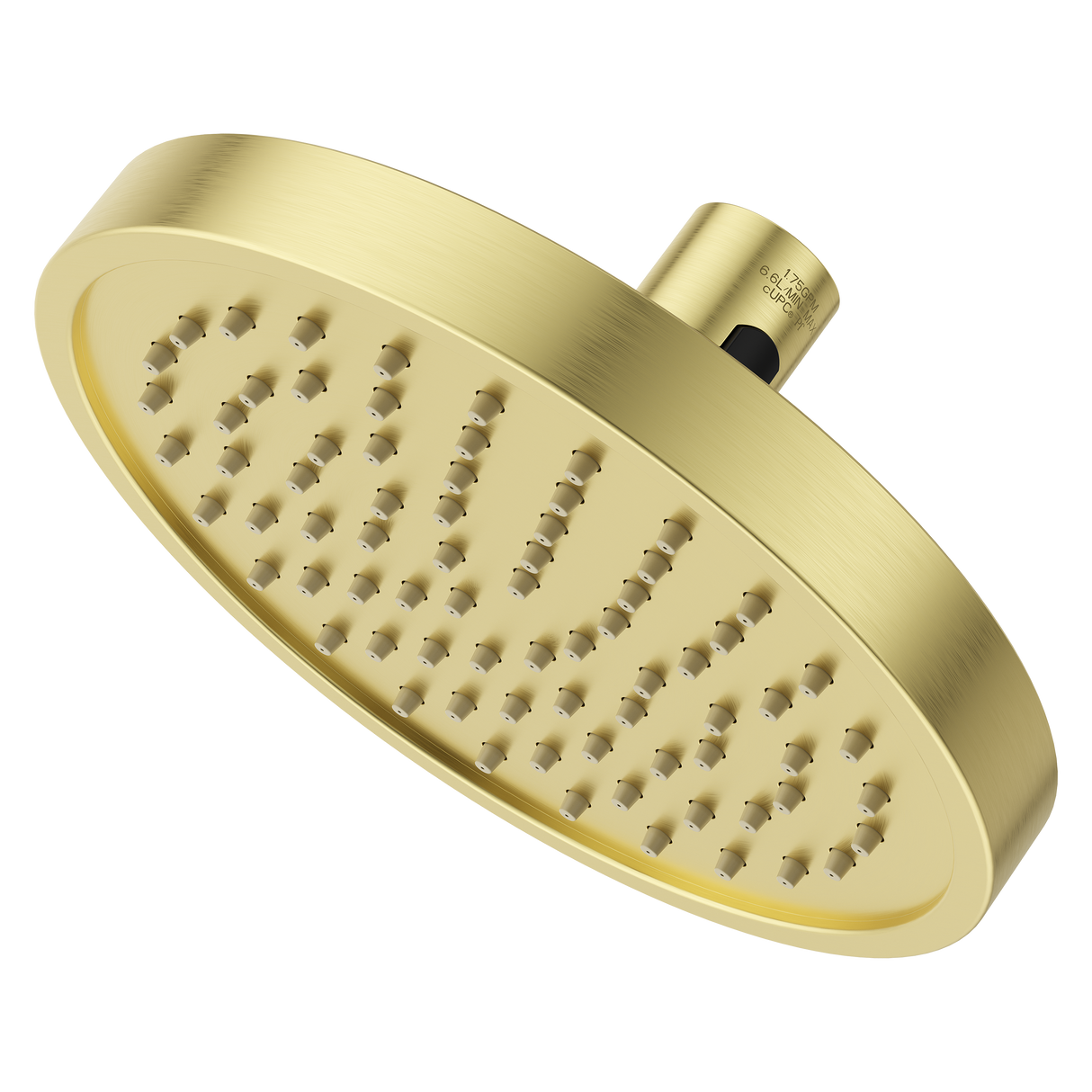 Contempra Round Quick Connect Raincan Showerhead in Brushed Gold