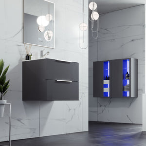 Galsaky 24 in. Gray Wall Mount Single Sink Bath Vanity with Porcelain Top and Integrated Sink