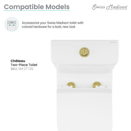 Toilet Hardware Brushed Gold (SM-2T120)