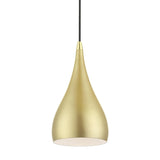 Amador 1 Light Mini Pendant in Soft Gold with Polished Brass (41171-33)