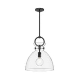 Alora PD411814MBCL WALDO 14" PENDANT MATTE BLACK CLEAR GLASS
 E26 60W