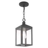 Livex Lighting 20591-76 Nyack - One Light Outdoor Hanging Lantern, Scandinavian Gray Finish with Clear Glass