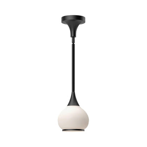Alora PD524006MBOP HAZEL 6
