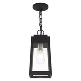 Livex Lighting 20854-12 Oslo - One Light Outdoor Hanging Lantern, Satin Brass Finish with Clear Glass