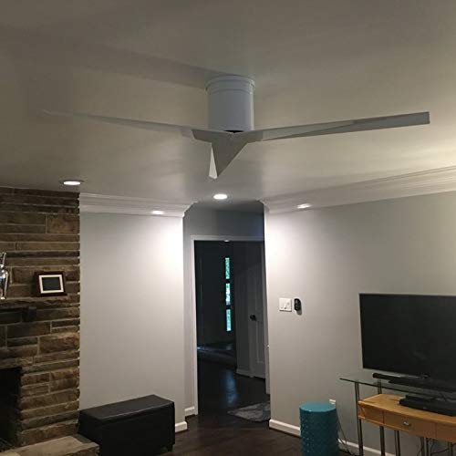 Matthews Fan EKH-BK-BW Eliza-H 3-blade ceiling mount paddle fan in Matte Black finish with barn wood ABS blades.